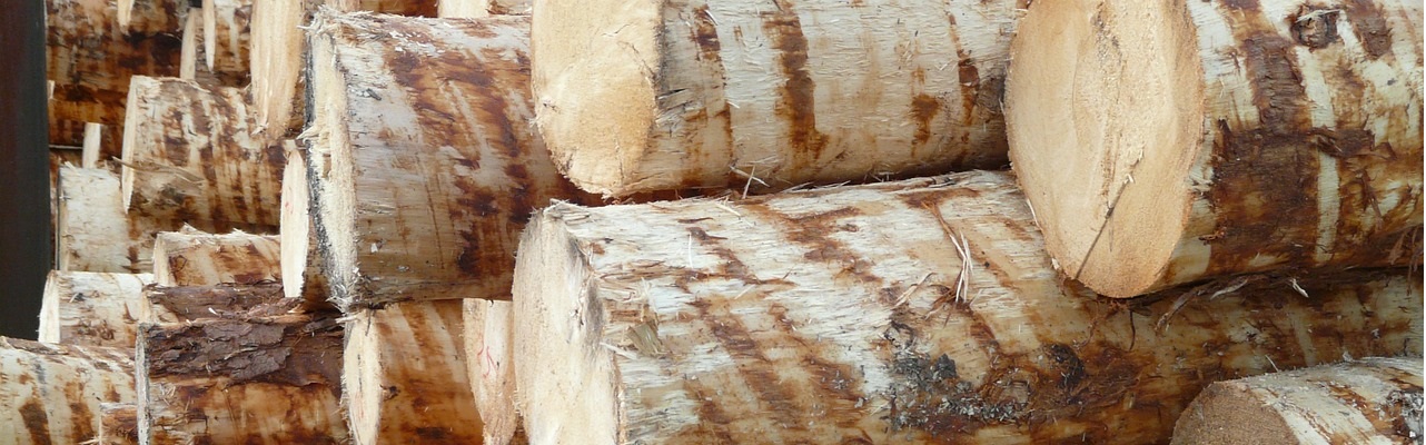 produttore imballaggi in legno